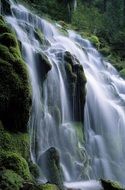 computer image of a forest waterfall