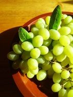 tasty ceongpodo grapes