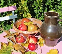 bowl with apples on table in garden