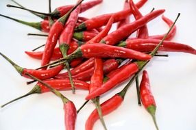 red hot chili organic peppers close