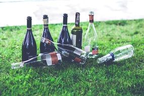 empty wine bottles on a grass