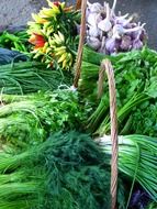 fresh greens on the market