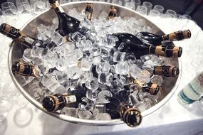 cooling of champagne bottles