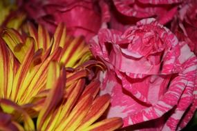 wildflowers and pink roses