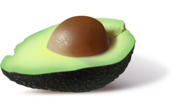 half avocado on white background