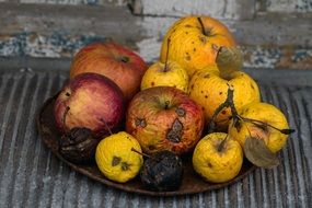 rotten apples on a plate