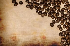 roasted coffee beans on canvas