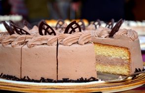 Chocolate cream cake for coffee party