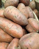 raw sweet potatoes