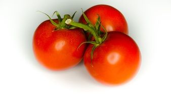 three red tomatoes on a branch