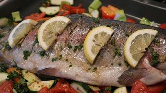 salmon trout with lemon