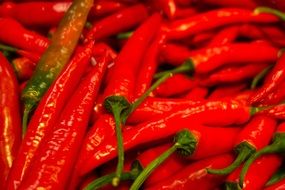 chili harvest