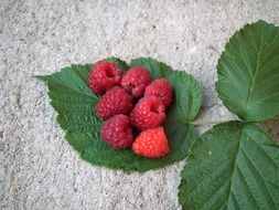 raspberry on green leave
