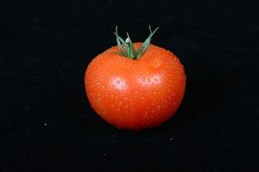 red tomato with drops of dew