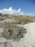desert dune landscape