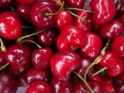 juicy tasty cherries