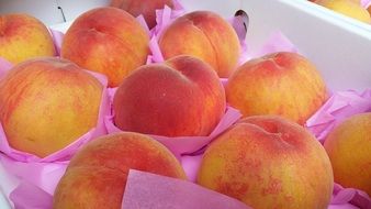 peach in individual packaging paper