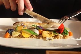 eating fish and vegetables colorful picture