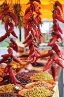 spices on the mall