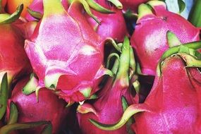 pink dragon fruit