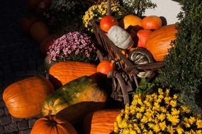big yellow pumpkins and flowers