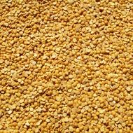 yellow pea harvest