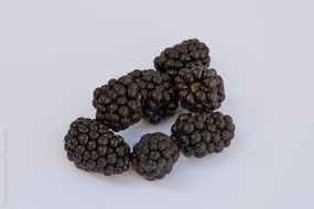 blackberries