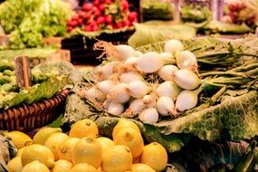 fruit and vegetables in the market