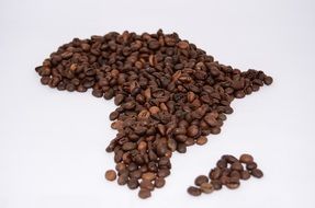 coffee beans Africa shape