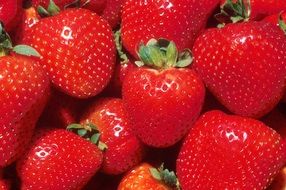 glossy ripe strawberries, background