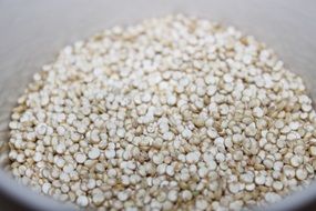 quinoa as a healthy diet