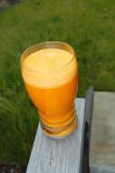 glass of carrot juice