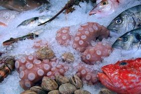 Seafood on ice