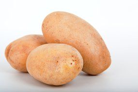 isolated fresh potato