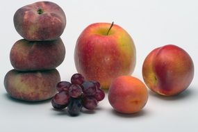 fruits still life with apple and apricots