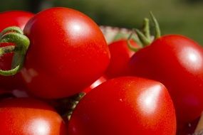 flawless red tomatoes