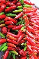 many different chili peppers close-up on blurred background