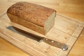 fresh bread knife