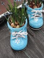 blue shoes like flower pots in the garden