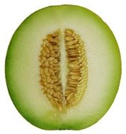 melon in cross section