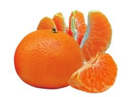 orange tangerine fruit