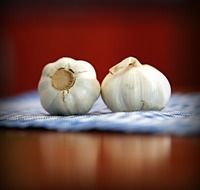 two heads of odorous garlic