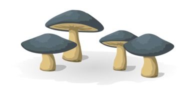 mushrooms, blue vegetables as a drawing