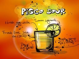 drawing of pisco sour alcohol cocktail drink