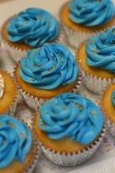 blue cream muffins