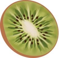 sliced kiwi fruit on a white background