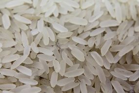 white rice macro