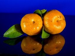 orange mandarin fruit citrus green leaf blue background