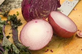 red onion in a cut