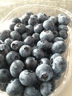 ripe blueberries in a transparent container